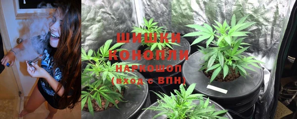винт Гусиноозёрск