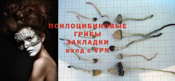 ECSTASY Гусев
