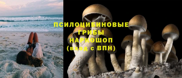 винт Гусиноозёрск